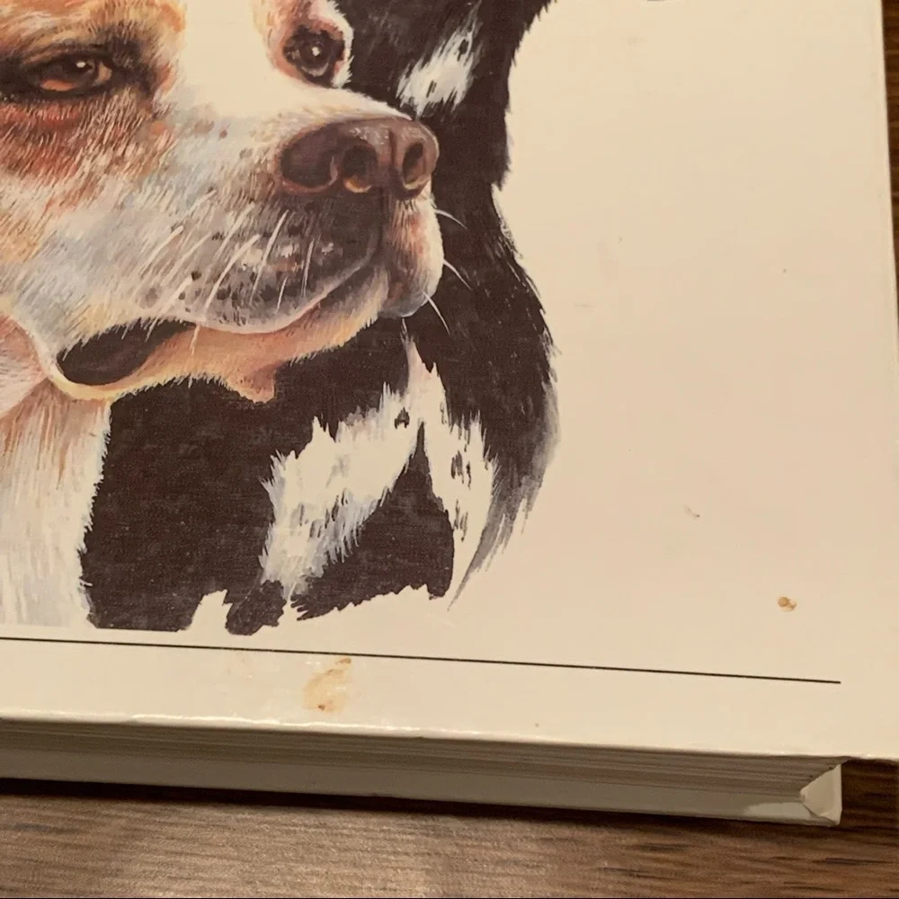 The Reader's Digest Illustrated Book Of Dogs Vintage Hardcover